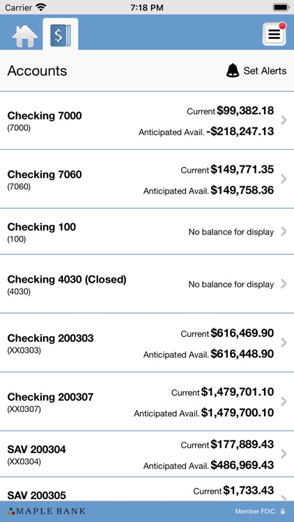 Maple Bank Business Banking screenshot-3