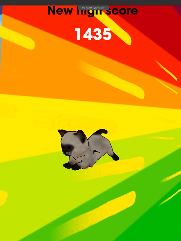 Kitty Cat Run simulator