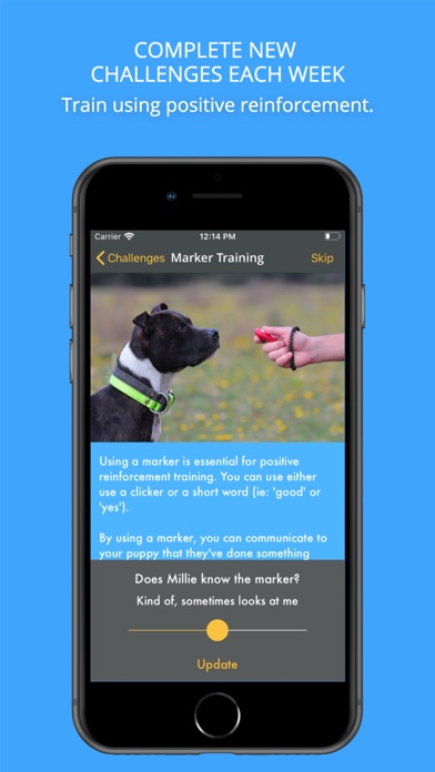 How to cancel & delete Social Puppy: Dog Training App from iphone & ipad 2