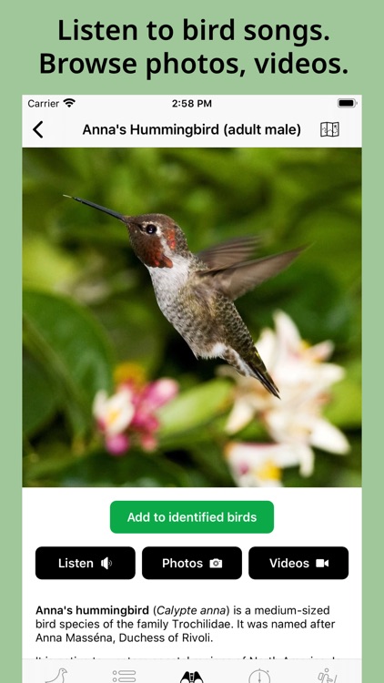 Smart Bird ID screenshot-4