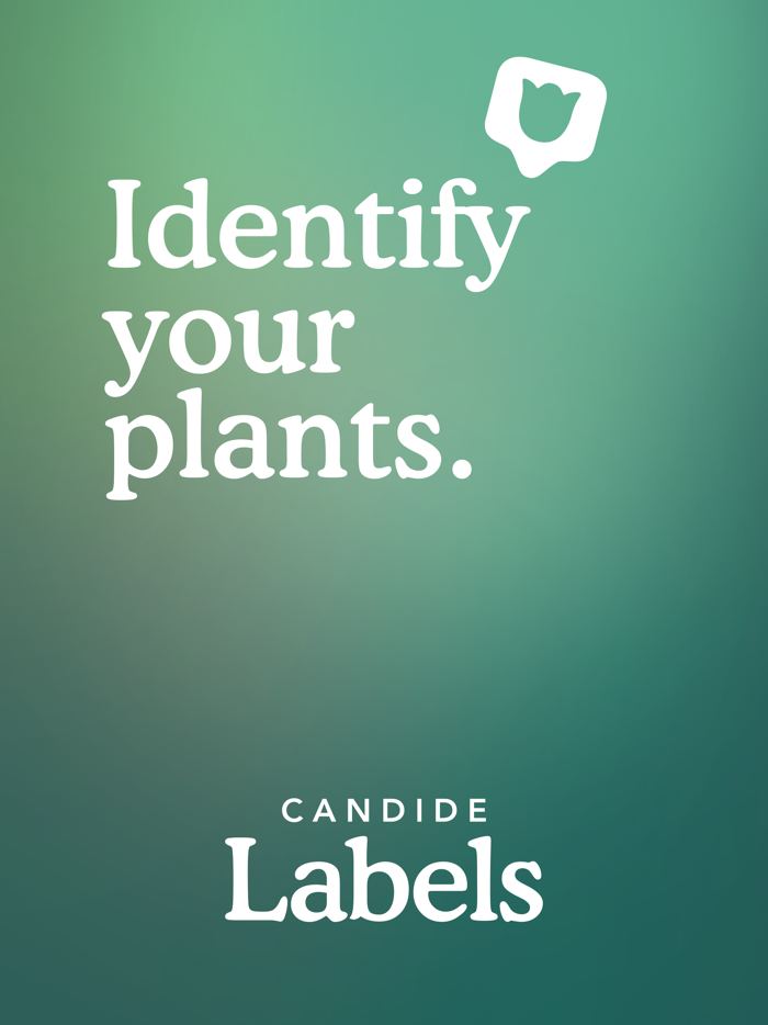 Candide Labels – Plant ID