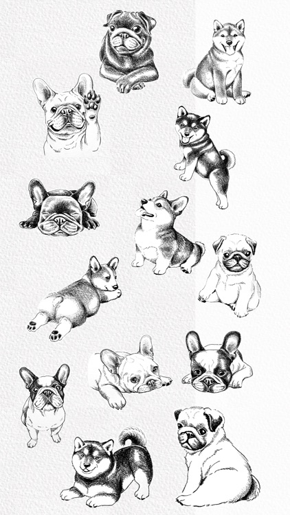 Dogs Drawing