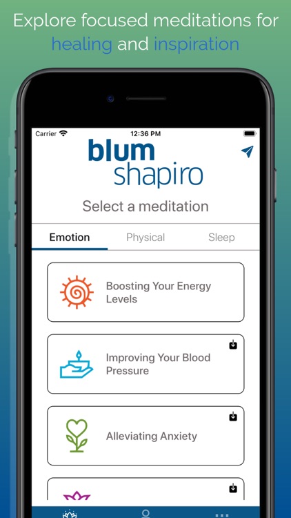 Blum Shapiro: Mindfulness
