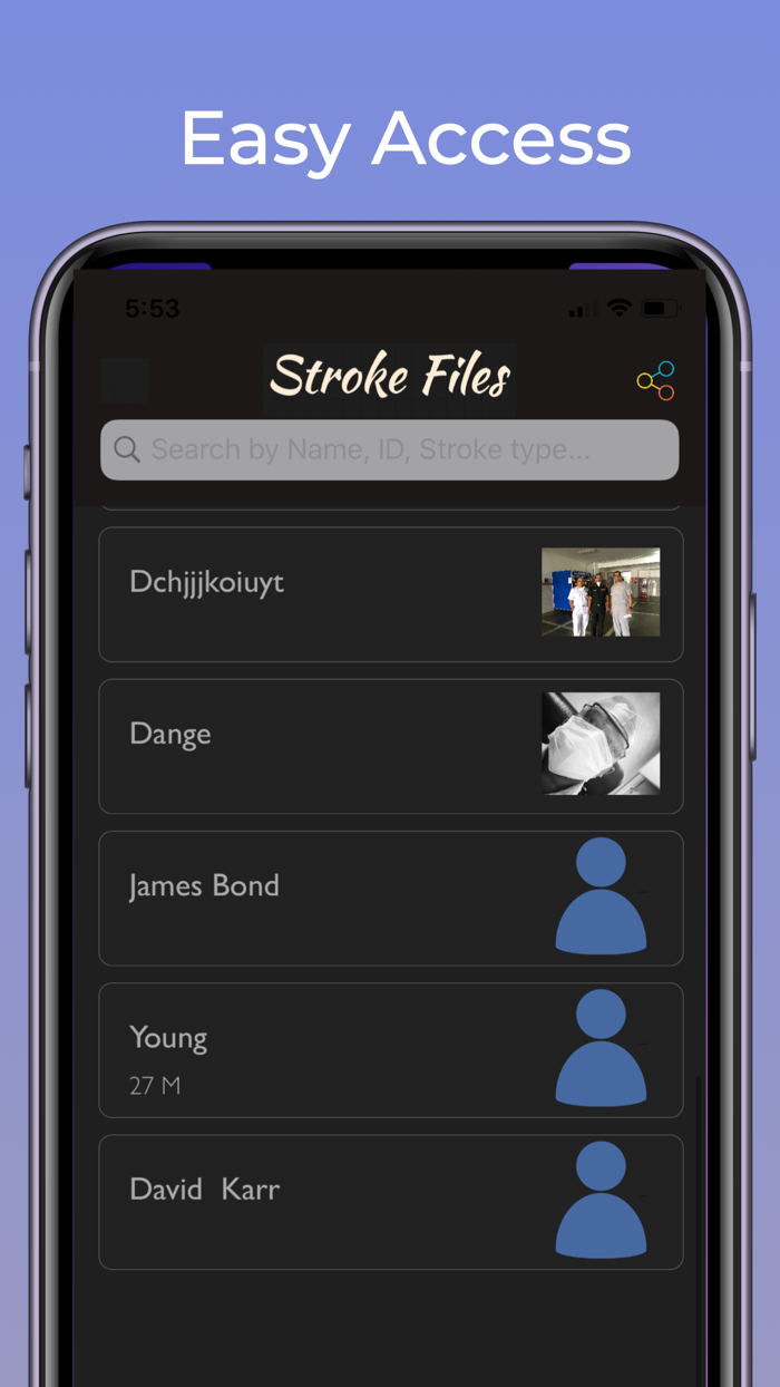 Stroke Files - Digitized