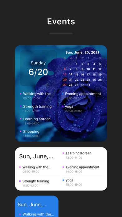 Widget Calendar screenshot1