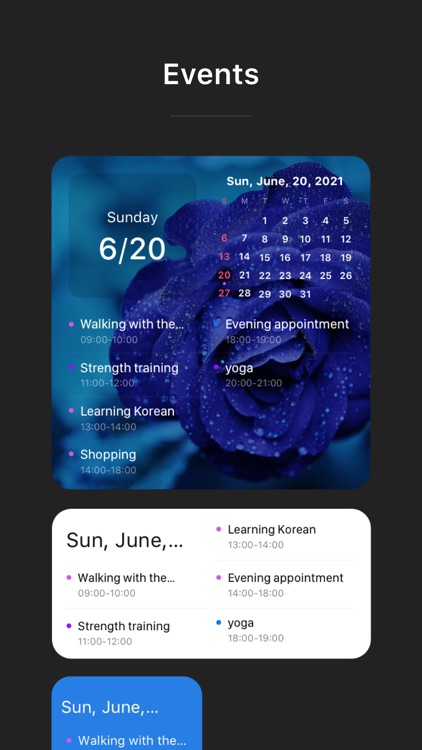 Widget Calendar