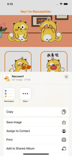 RaccoonCat(圖2)-速報App