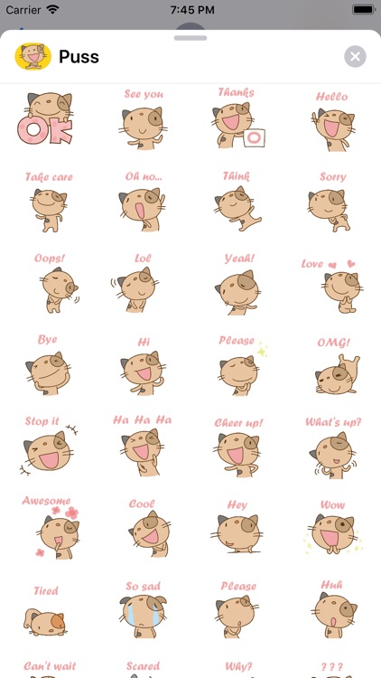 Cute Puss Stickers Pack