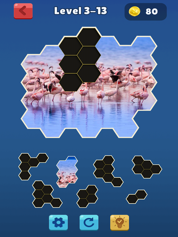 Hexa Jigsaw Collection HD screenshot 4