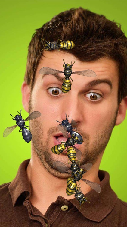 Insects Prank