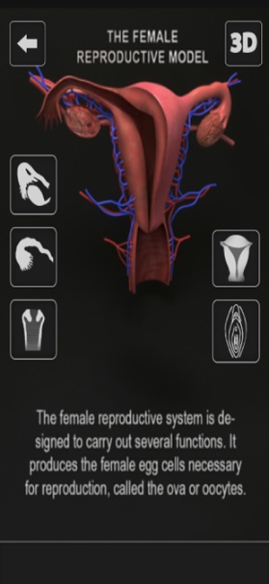 Female Anatomy 3D Visualizer(圖3)-速報App