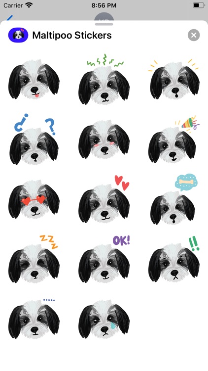 Maltipoo Dog Stickers