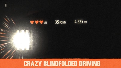 Blind Drive screenshot 2