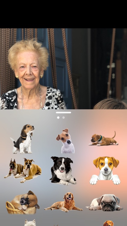 Dogs in your photos screenshot-3