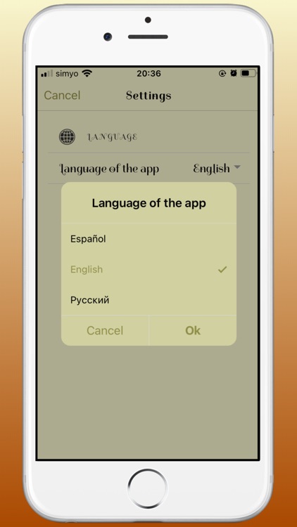 Flamenco Guitar Master