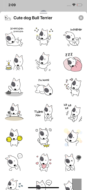 Cute dog Bull Terrier(圖3)-速報App