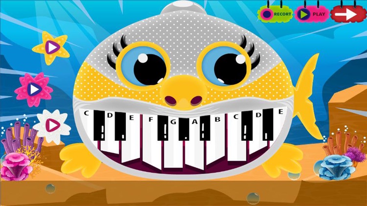 Magic Baby Shark Piano