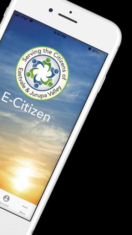 E-Citizen