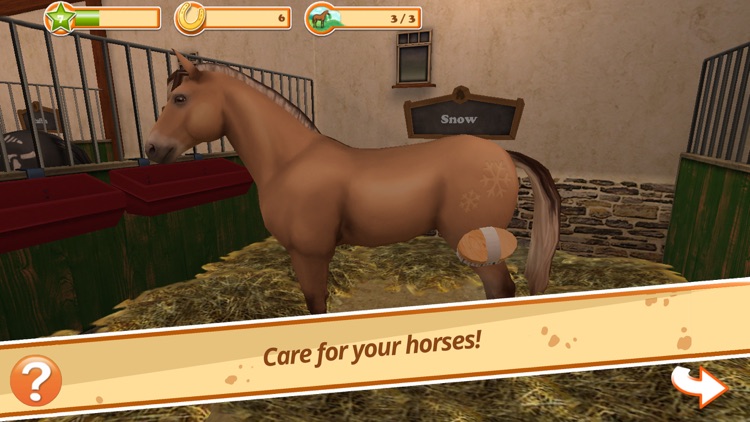 Horse World - My Riding Horse screenshot-3