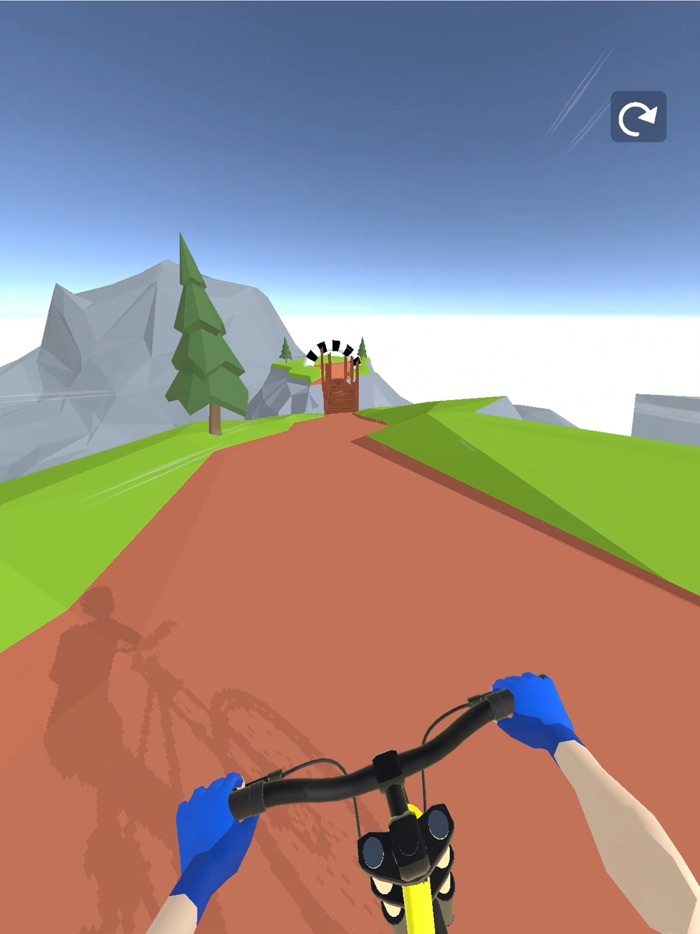 Mountain Biker 3D