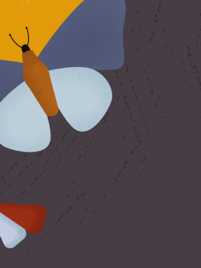 Brain Pop - Draw and Solve