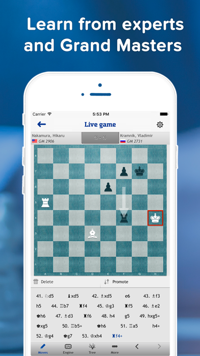 How to cancel & delete chess24 from iphone & ipad 2