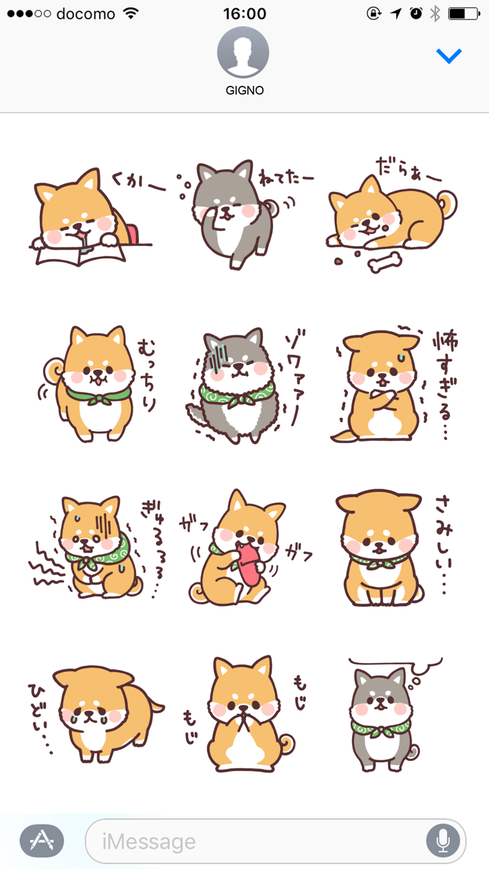fluffy fat Shiba4