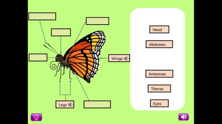 Naming Plant&Animal Parts Lite screenshot-3