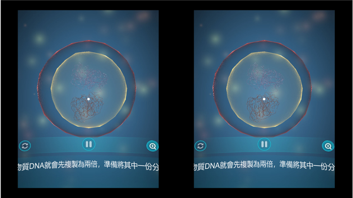 細胞分裂、減數分裂與生物的遺傳