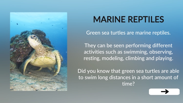 Marine Life Learning