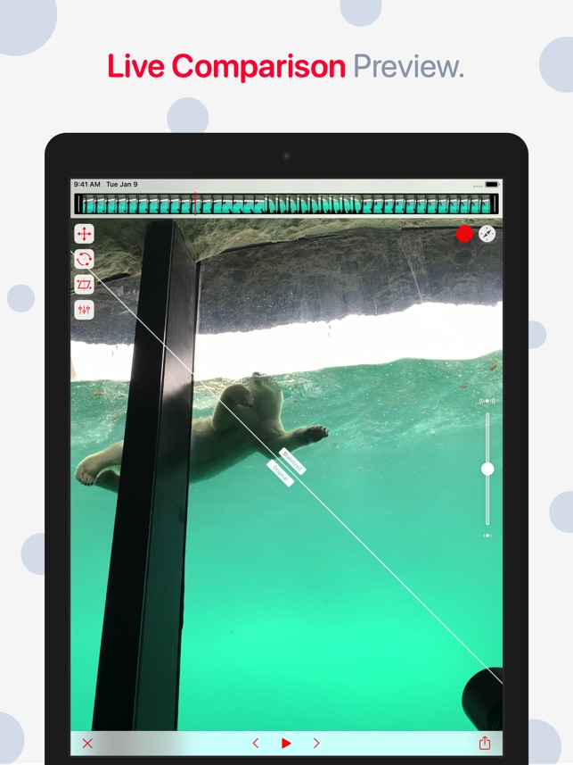 44 Top Photos Video Stabilizer App - Emulsio Video Stabilizer On The App Store