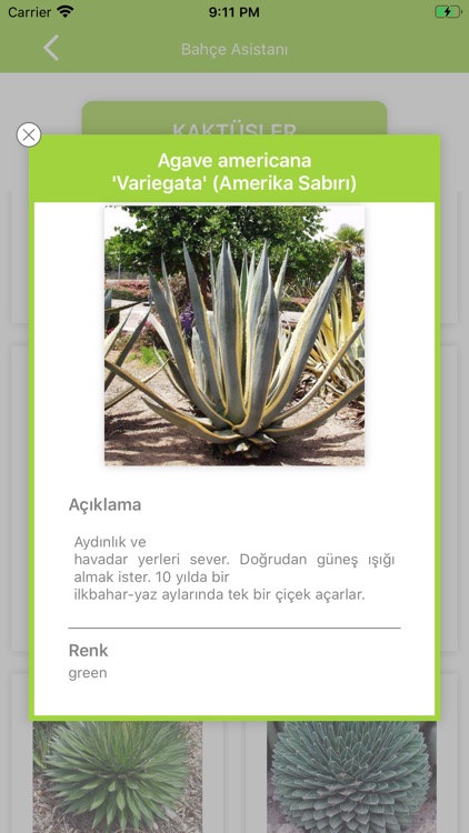 Bahçe Asistanı screenshot-3
