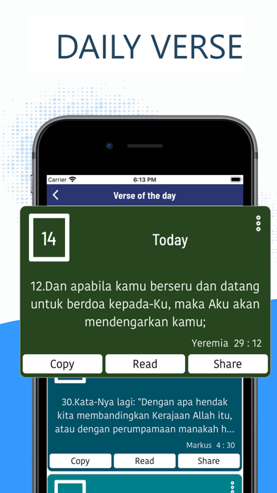 Women's Indonesian Bible ProScreenshot of 7