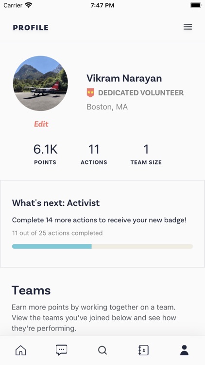 Impactive: Organize Online