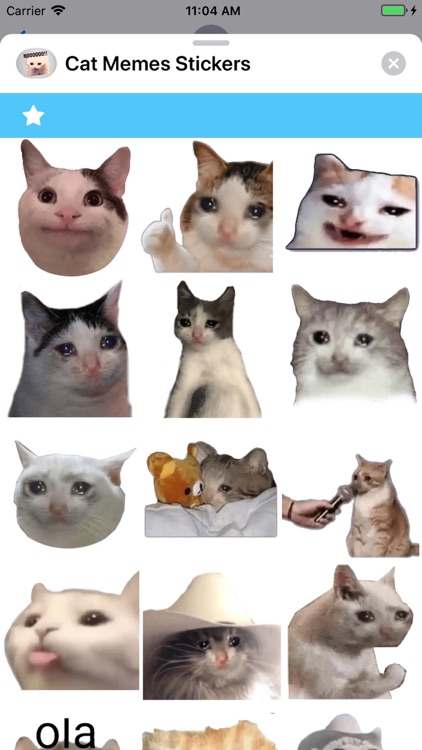 Cat Memes Stickers