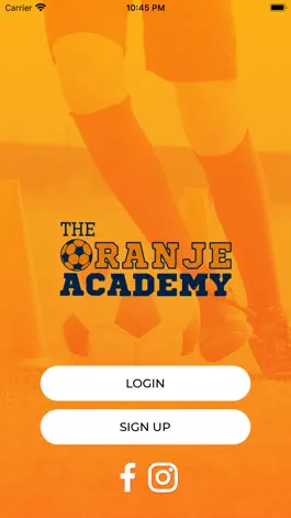 Game screenshot Oranje mod apk