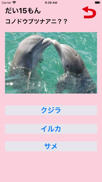 あつまれ！どうぶつだいすき！ screenshot-3