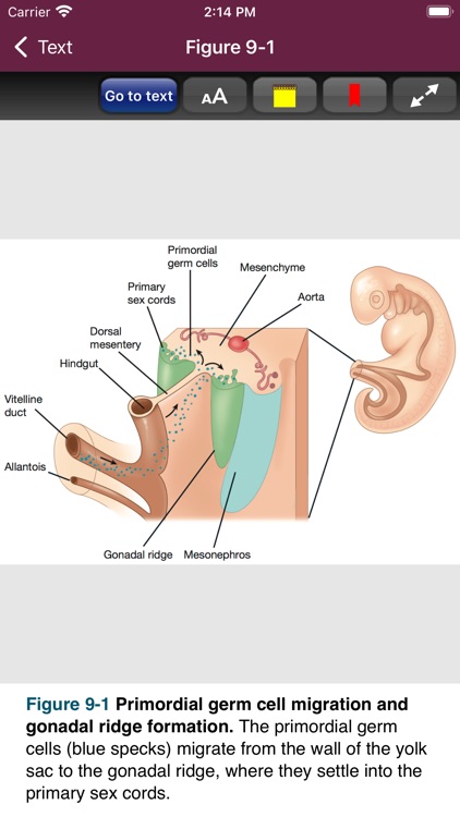 First Aid: Organ Systems screenshot-6