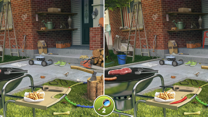 Hidden Differences - Spot Them