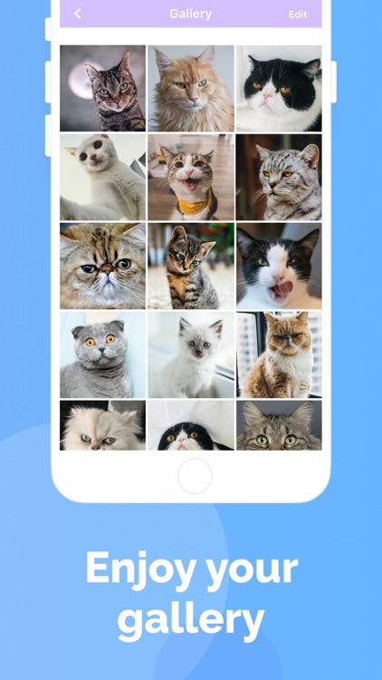 Cat's Cam: selfie of your pet screenshot-5