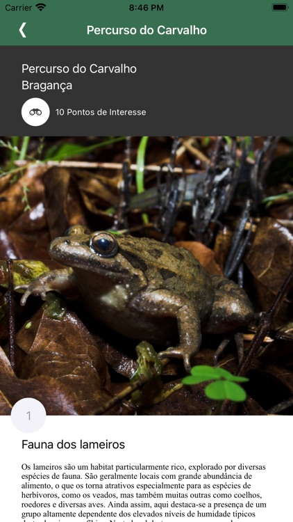 Nove Passos screenshot-3