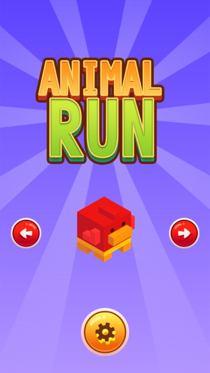 animals runner