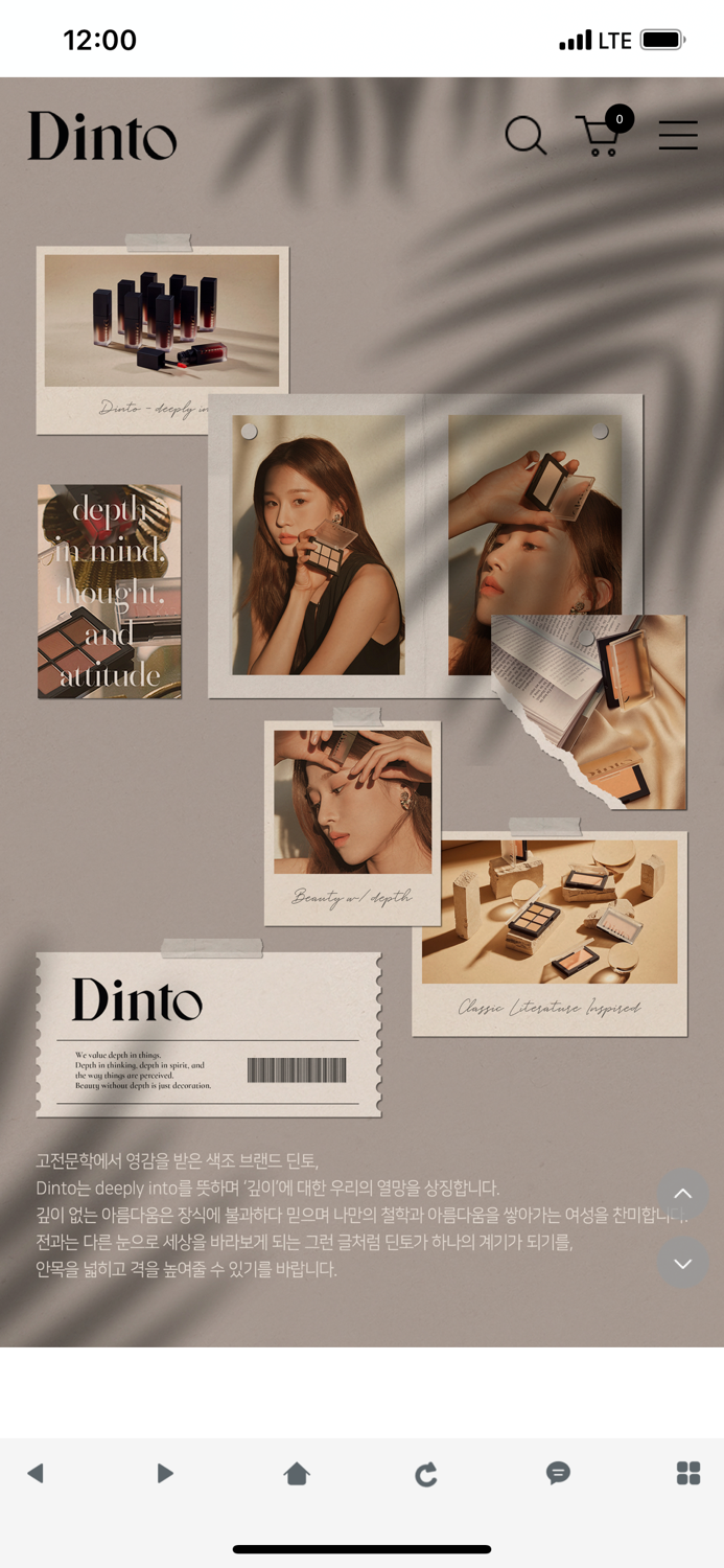 딘토 - dinto
