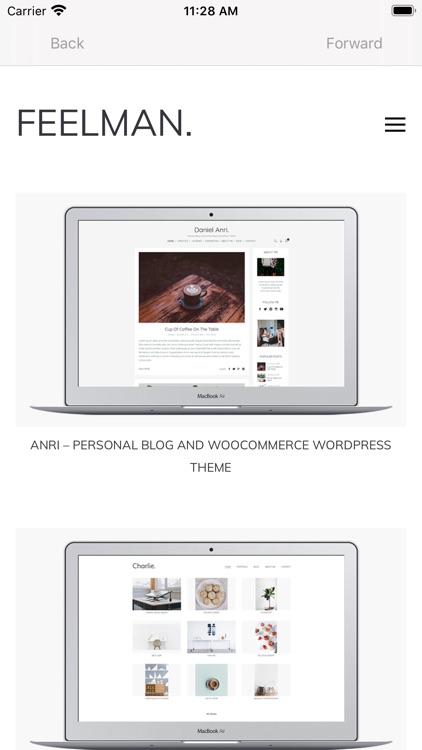 WordPress Themes and Templates