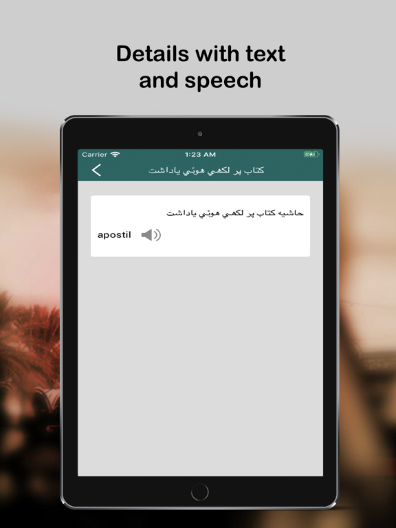 English Urdu Q-Dictionary screenshot 4
