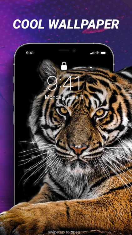 Meow Live Wallpapers&HD Themes screenshot-5