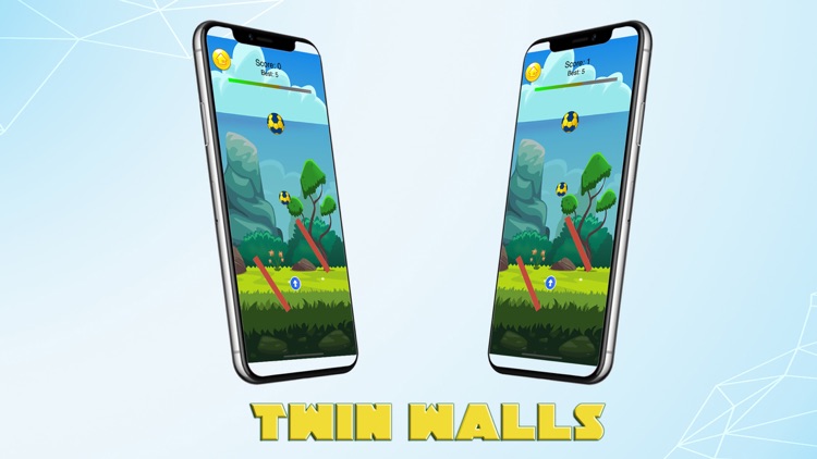 Twin Walls