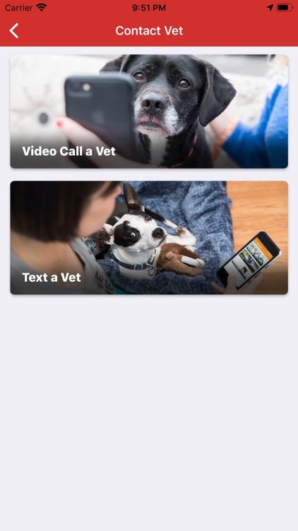 Pet Vet Hotline screenshot-3