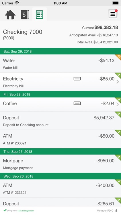 Spring Bank Cash Management screenshot-4