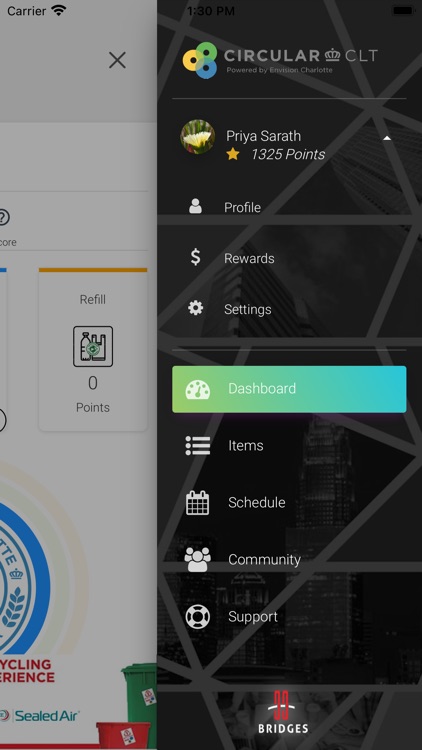 Charlotte Mosaic screenshot-3